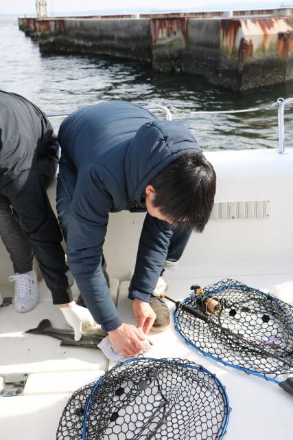 釣り　ヒット