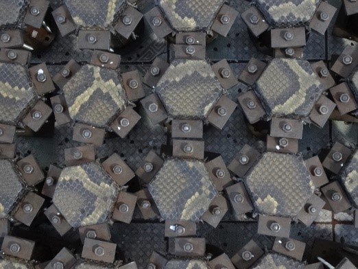 写真, グループ, 切る, 表面 が含まれている画像
自動的に生成された説明