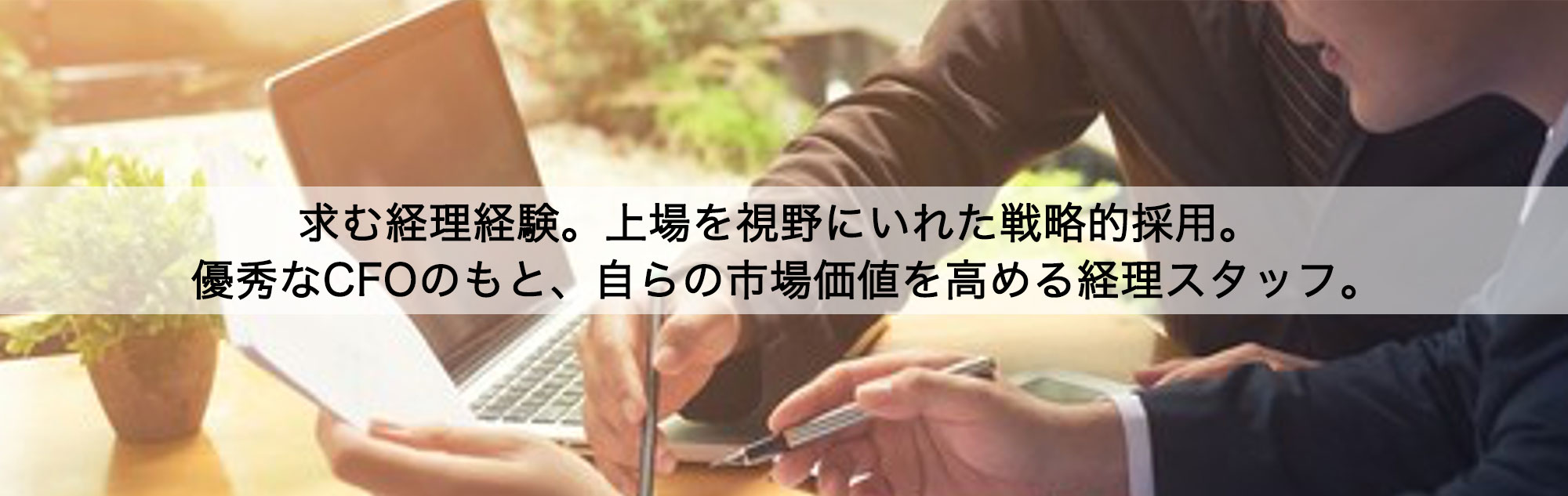 募集職種