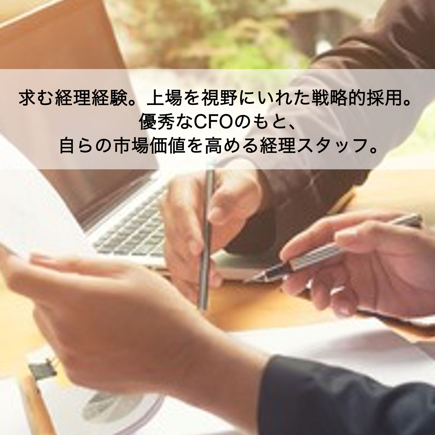 募集職種