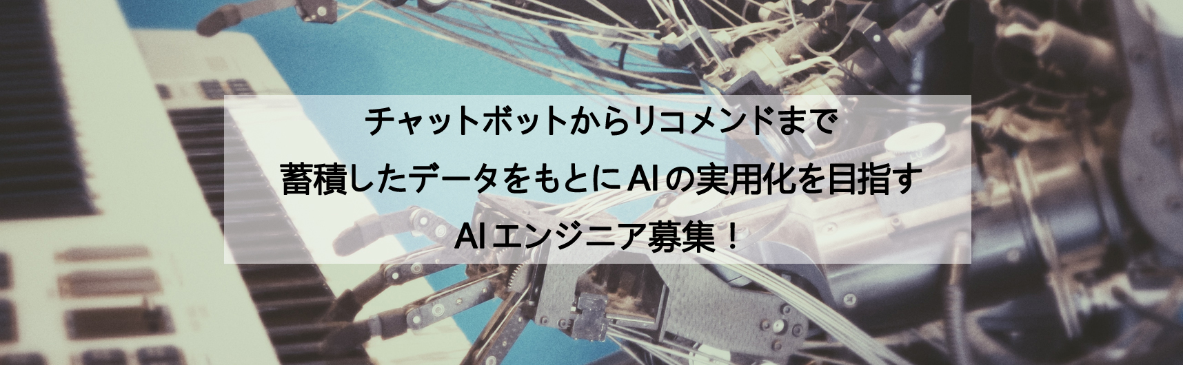 募集職種